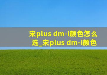 宋plus dm-i颜色怎么选_宋plus dm-i颜色